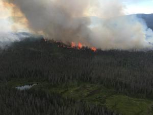 Wildfire burning near Wyoming border grows to 3,800 acres | 9news.com