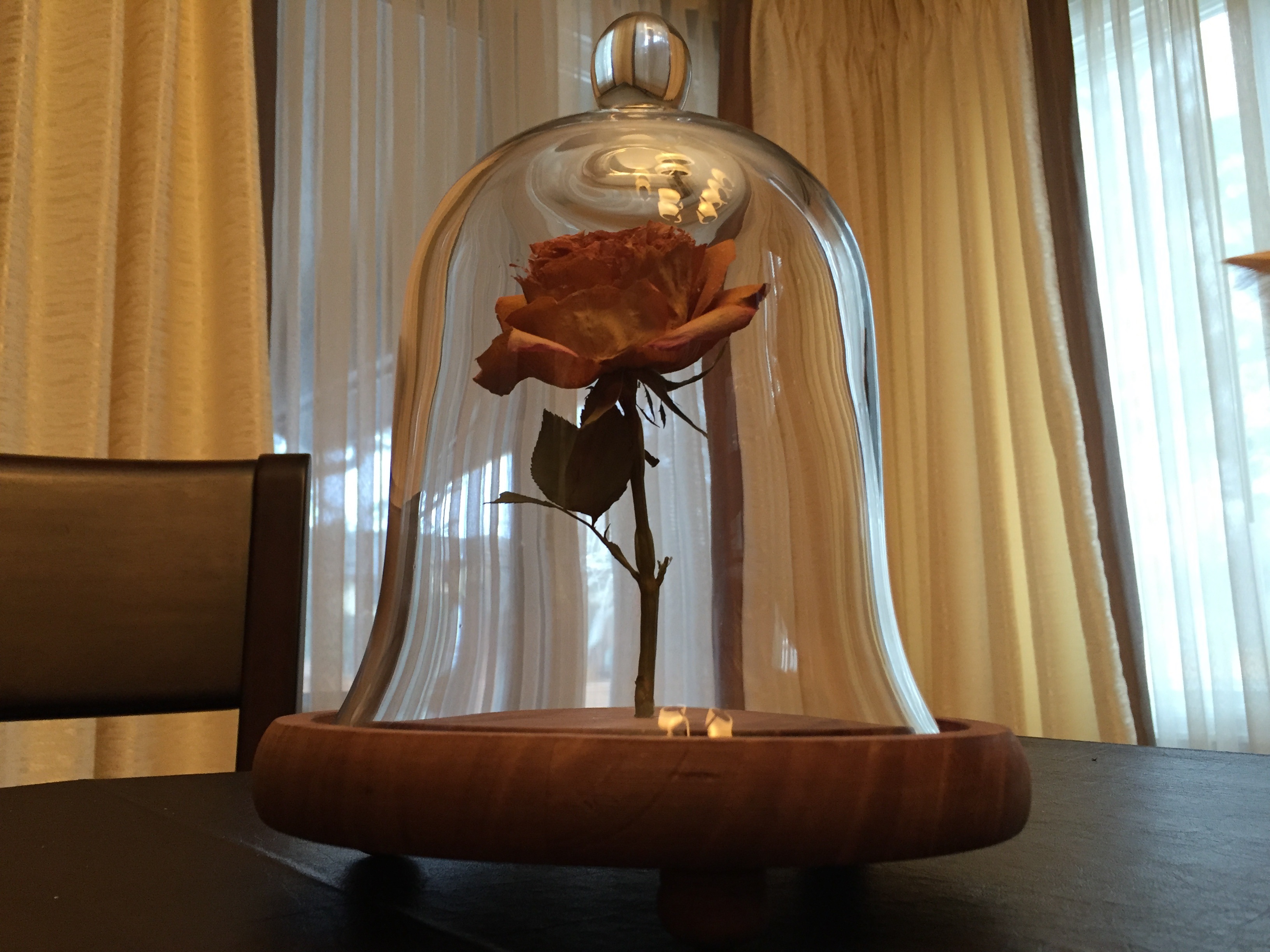 9news.com | DIY Beauty and the Beast rose