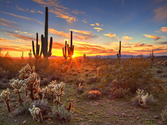 Why Arizona doesn't observe daylight-saving time | 9news.com